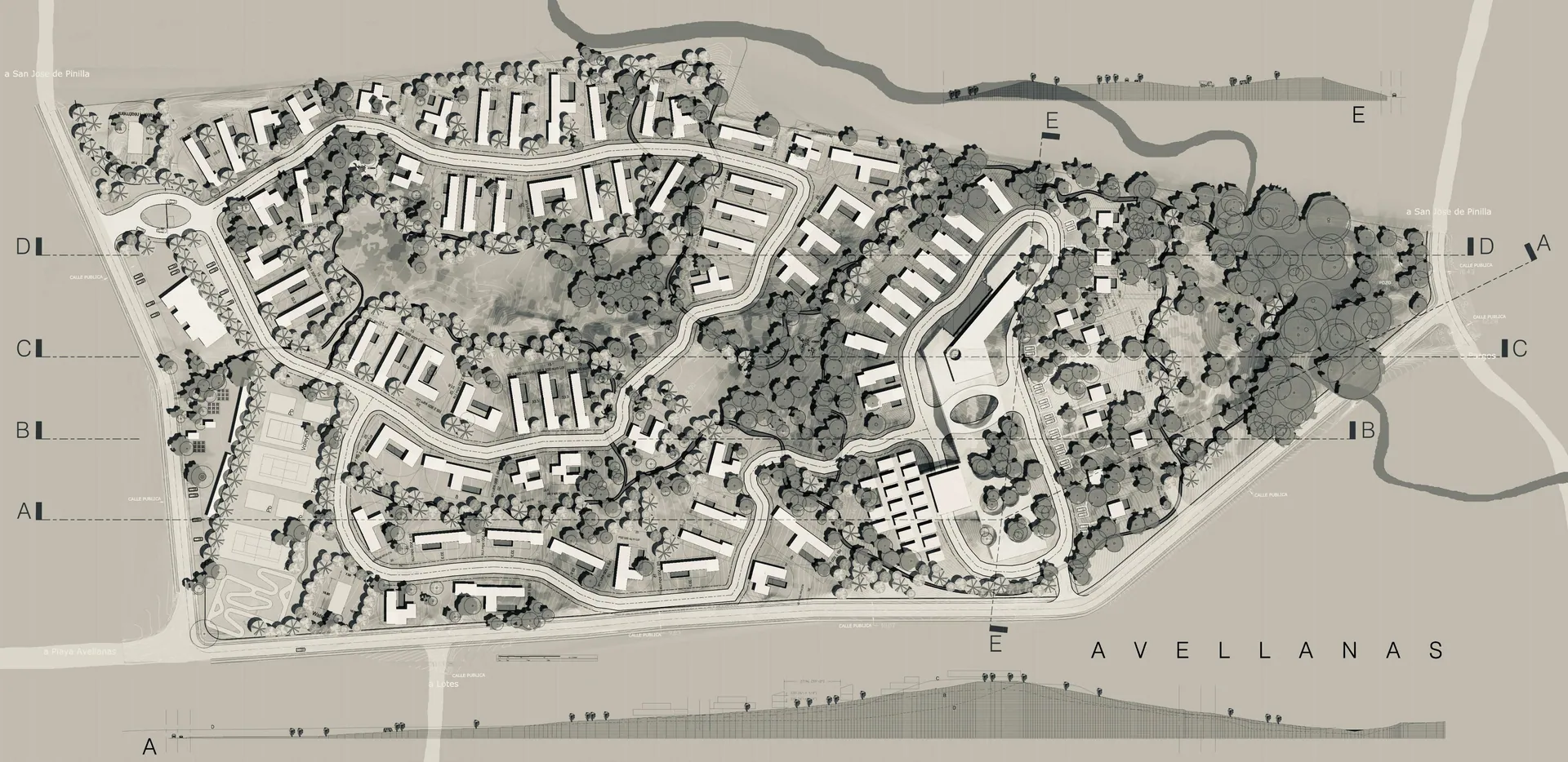 Playa Avellanas Residential Development
