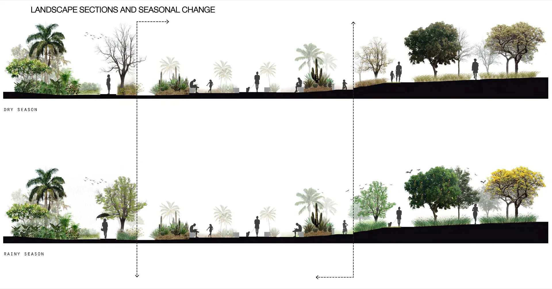 Playa Avellanas Residential Development